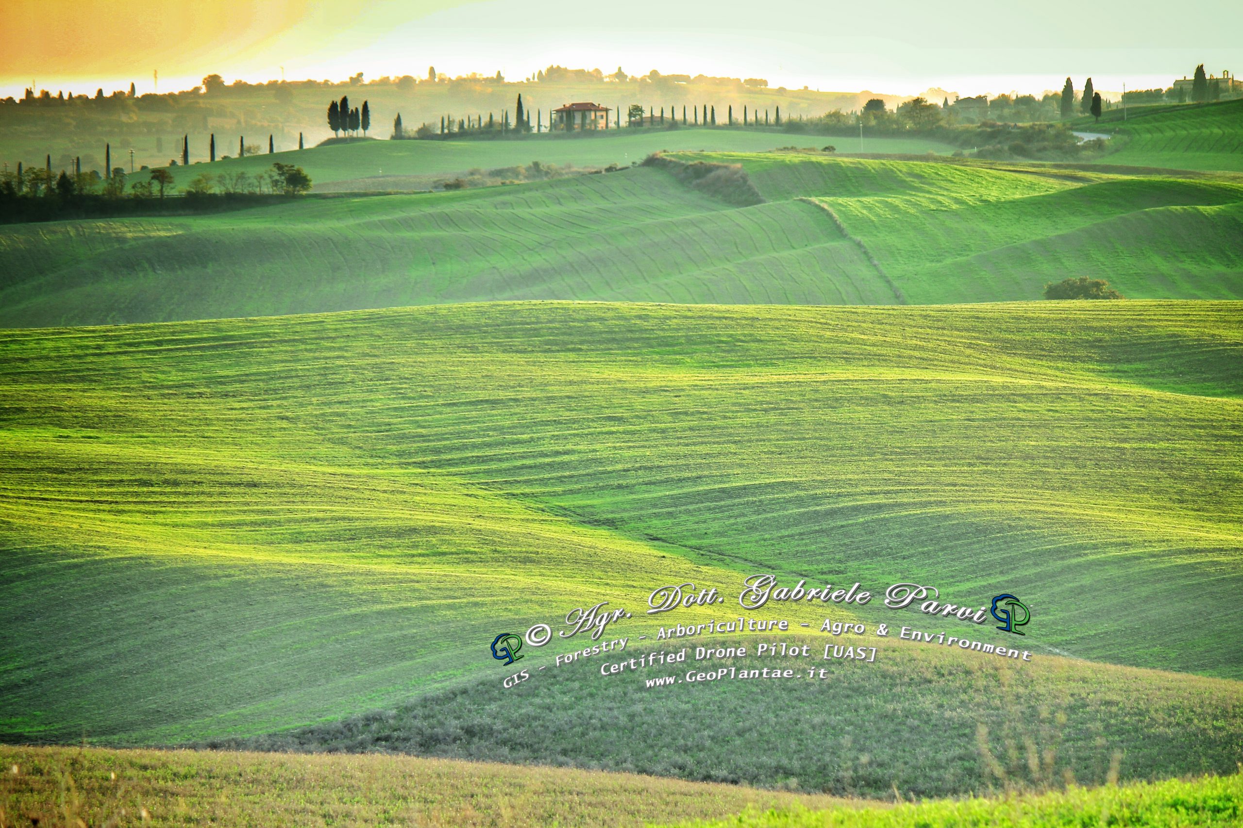 Consulente Agrario Forestale Arboricoltura Agronomo ad Arezzo